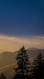 Preview wallpaper mountains, trees, fog, clouds, tops