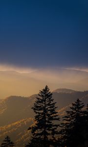 Preview wallpaper mountains, trees, fog, clouds, tops