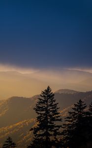 Preview wallpaper mountains, trees, fog, clouds, tops