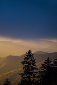 Preview wallpaper mountains, trees, fog, clouds, tops