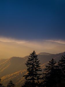 Preview wallpaper mountains, trees, fog, clouds, tops