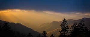 Preview wallpaper mountains, trees, fog, clouds, tops