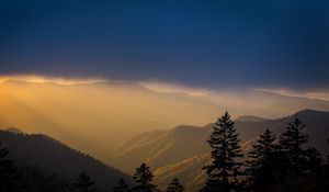 Preview wallpaper mountains, trees, fog, clouds, tops