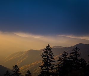 Preview wallpaper mountains, trees, fog, clouds, tops