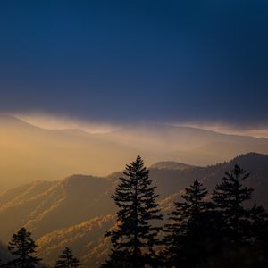 Preview wallpaper mountains, trees, fog, clouds, tops