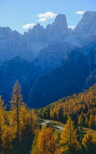 Preview wallpaper mountains, trees, fog, autumn, path