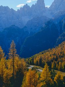 Preview wallpaper mountains, trees, fog, autumn, path