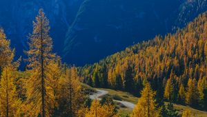 Preview wallpaper mountains, trees, fog, autumn, path