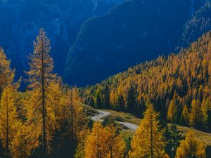 Preview wallpaper mountains, trees, fog, autumn, path