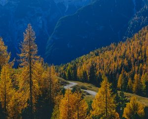 Preview wallpaper mountains, trees, fog, autumn, path