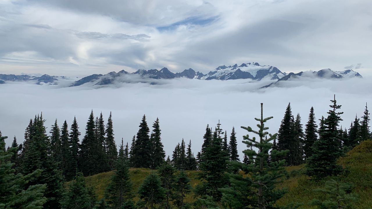 Wallpaper mountains, trees, fog, clouds, landscape