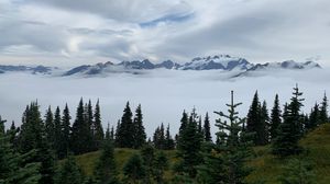 Preview wallpaper mountains, trees, fog, clouds, landscape