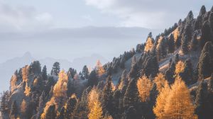 Preview wallpaper mountains, trees, fog, slope, landscape