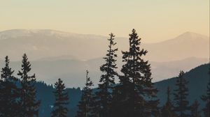 Preview wallpaper mountains, trees, fog, landscape, nature