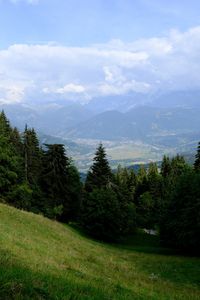 Preview wallpaper mountains, trees, fog, clouds, valley, landscape