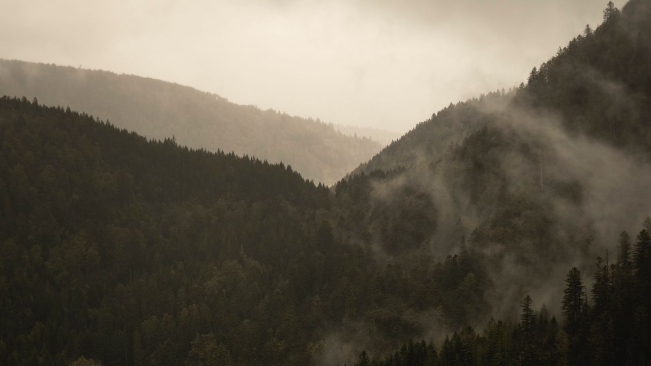 Wallpaper mountains, trees, fog, nature
