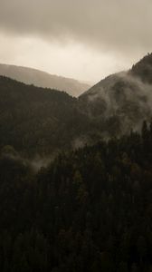 Preview wallpaper mountains, trees, fog, nature