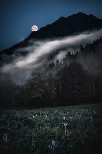 Preview wallpaper mountains, trees, fog, moon, night, landscape