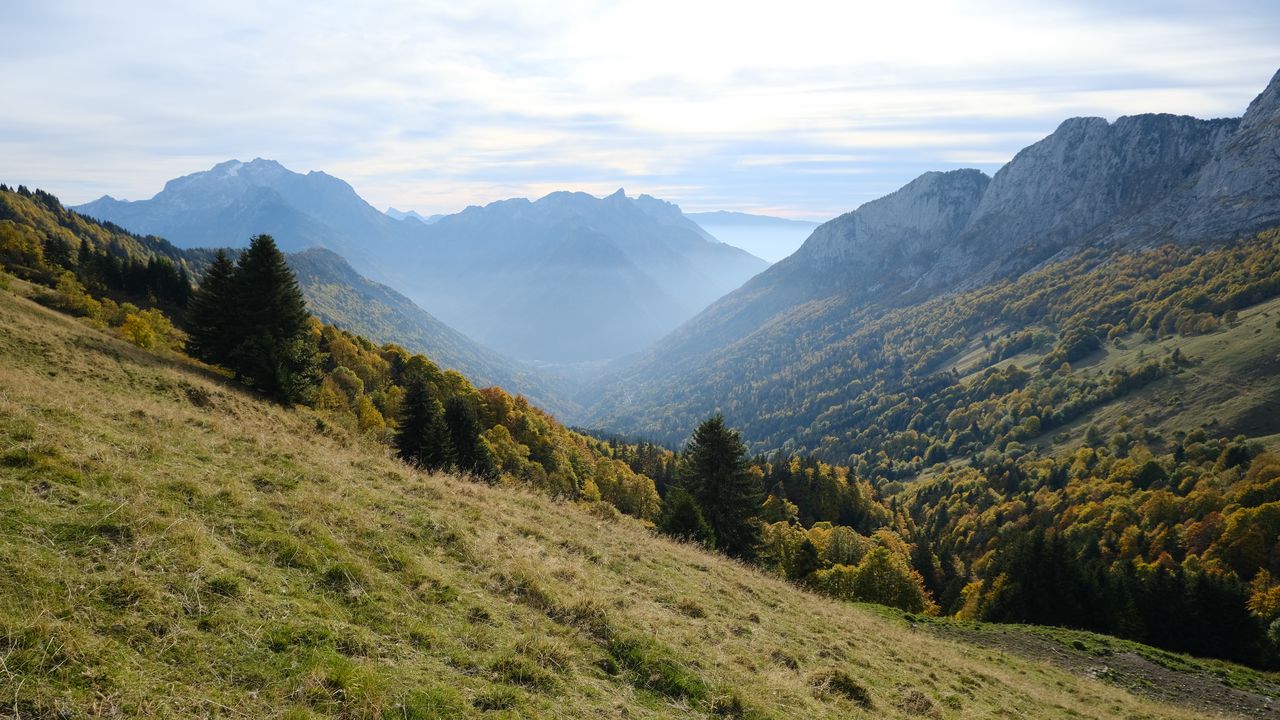 Wallpaper mountains, trees, fog, gorge, landscape