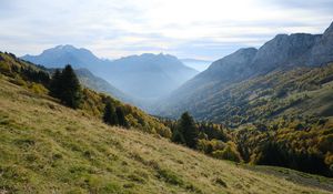 Preview wallpaper mountains, trees, fog, gorge, landscape