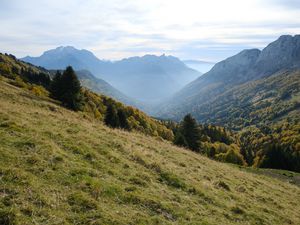 Preview wallpaper mountains, trees, fog, gorge, landscape