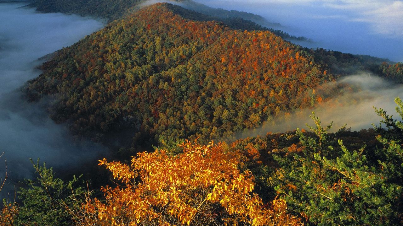 Wallpaper mountains, trees, fog, veil, autumn