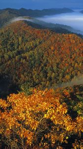 Preview wallpaper mountains, trees, fog, veil, autumn