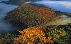 Preview wallpaper mountains, trees, fog, veil, autumn