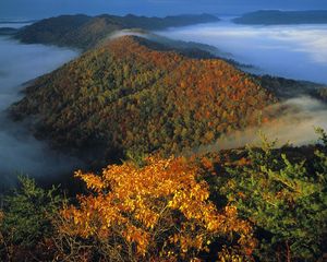 Preview wallpaper mountains, trees, fog, veil, autumn