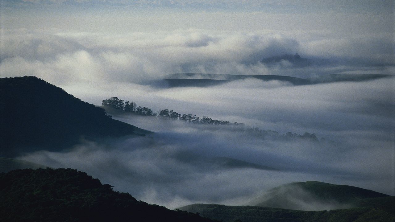 Wallpaper mountains, trees, fog, haze, gloom, clouds