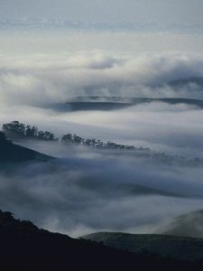 Preview wallpaper mountains, trees, fog, haze, gloom, clouds