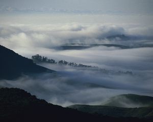 Preview wallpaper mountains, trees, fog, haze, gloom, clouds