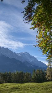 Preview wallpaper mountains, trees, forest, meadow, landscape