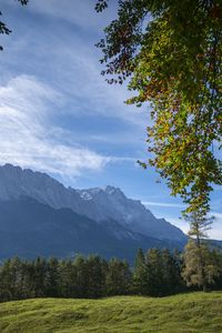 Preview wallpaper mountains, trees, forest, meadow, landscape