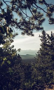 Preview wallpaper mountains, trees, forest, coniferous, landscape