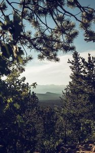 Preview wallpaper mountains, trees, forest, coniferous, landscape