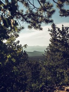 Preview wallpaper mountains, trees, forest, coniferous, landscape