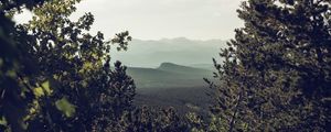 Preview wallpaper mountains, trees, forest, coniferous, landscape