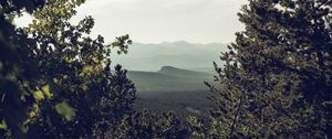 Preview wallpaper mountains, trees, forest, coniferous, landscape