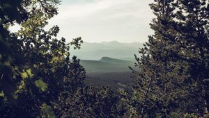 Preview wallpaper mountains, trees, forest, coniferous, landscape