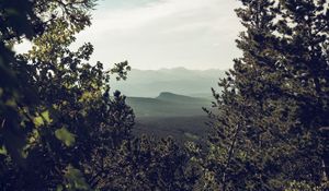 Preview wallpaper mountains, trees, forest, coniferous, landscape