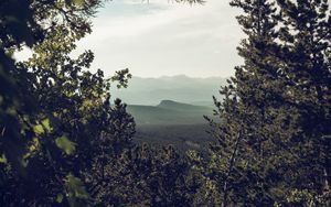 Preview wallpaper mountains, trees, forest, coniferous, landscape