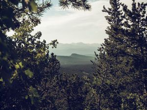 Preview wallpaper mountains, trees, forest, coniferous, landscape