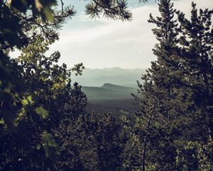 Preview wallpaper mountains, trees, forest, coniferous, landscape