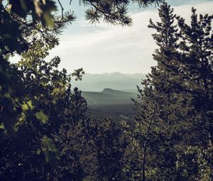 Preview wallpaper mountains, trees, forest, coniferous, landscape