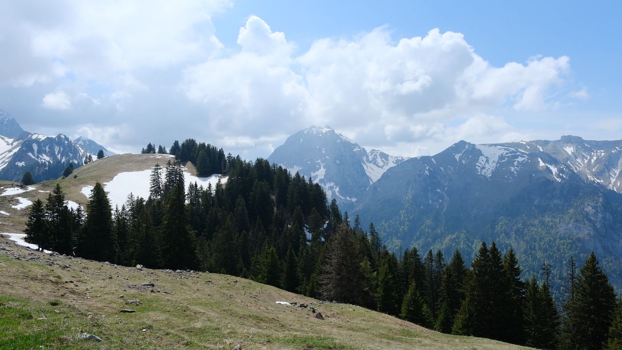 Wallpaper mountains, trees, forest, clouds, sky, nature