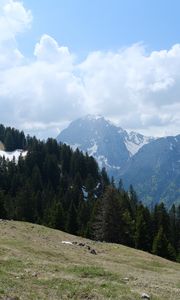 Preview wallpaper mountains, trees, forest, clouds, sky, nature