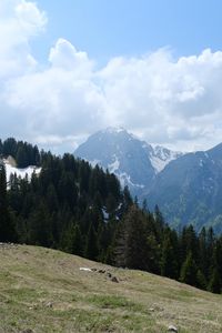 Preview wallpaper mountains, trees, forest, clouds, sky, nature