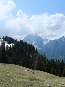 Preview wallpaper mountains, trees, forest, clouds, sky, nature