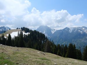 Preview wallpaper mountains, trees, forest, clouds, sky, nature